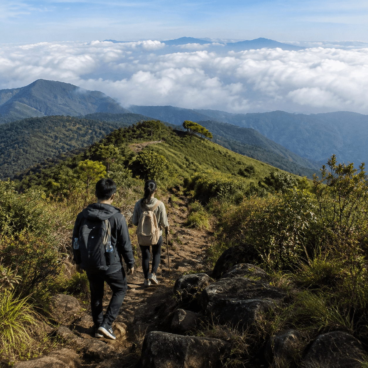Photorealistic editorial travel photograph in Vietnam. Subject: Langbiang Mountain trek. for the "Itinerary" section of a Vietnam travel guide. Editorial inline photo, natural 4:3 composition, detail