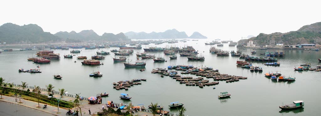 Vietnam '08 - 34 - Cat Ba harbour