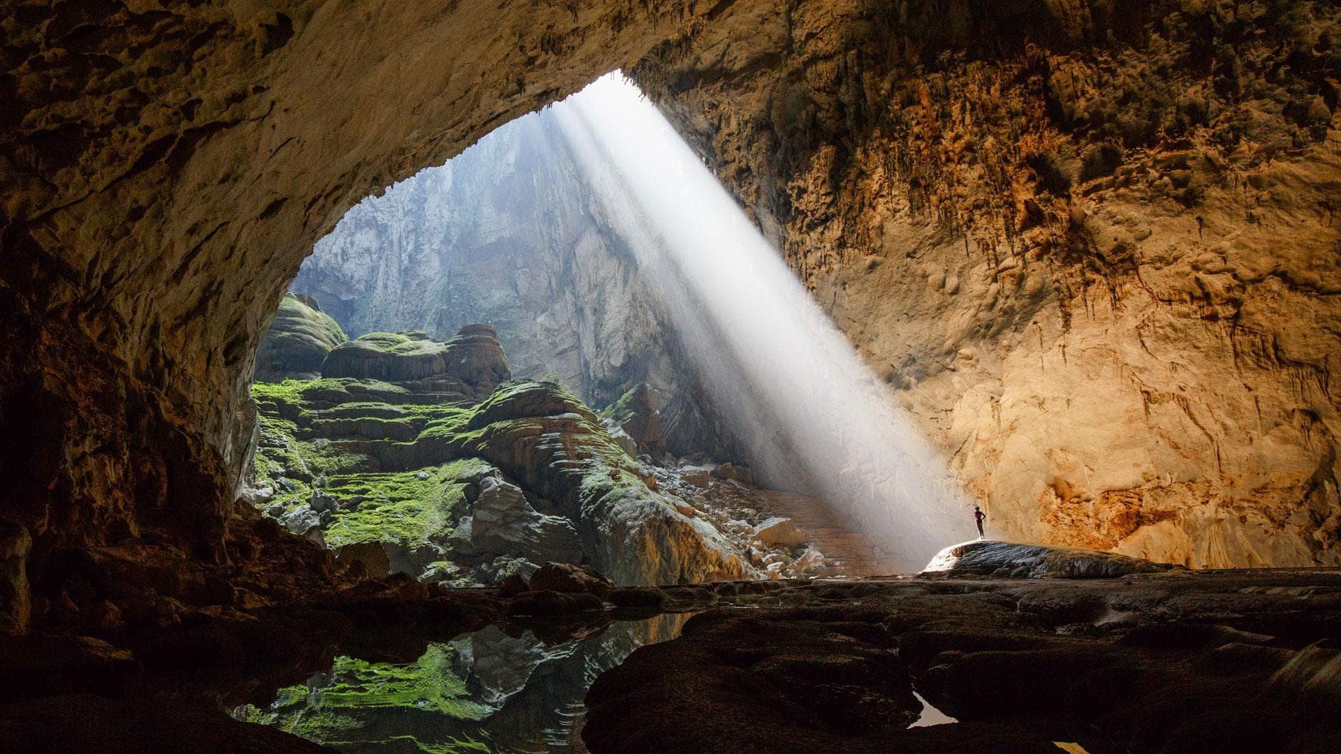 Phong Nha Botanic Garden and Dawn Birdwatching: A 2026 Guide Without a Cave Tour