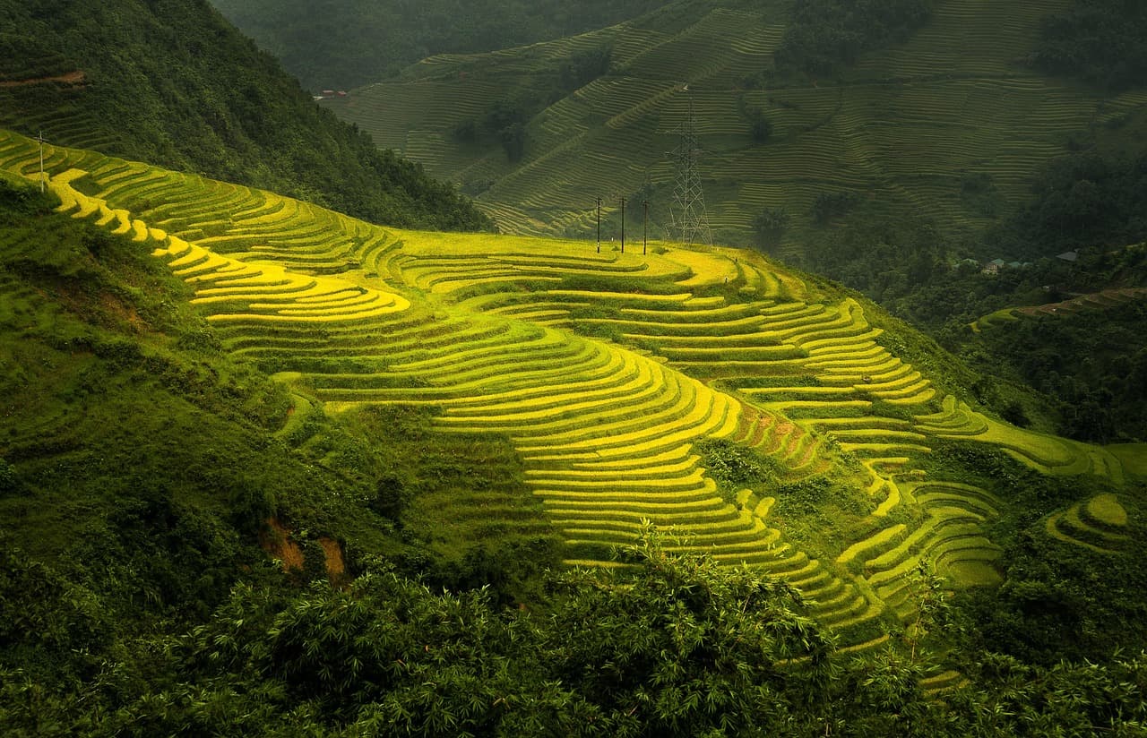 Sapa trekking difficulty: route grades, guide costs and fitness for 2026