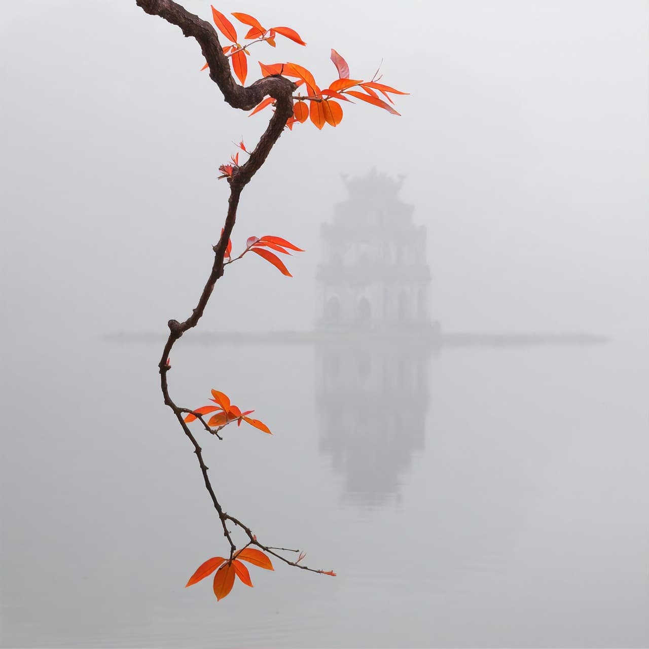 hoan kiem lake, ha noi, viet nam, spring, vietnam, hanoi, lake, fall, scenery, nature, hoguom, vietnamese, city, tree, water, gray city, gray water, gray tree, gray lake
