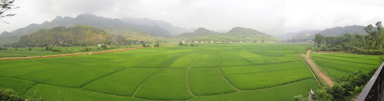 mai chau, vietnam, rice fields, asia, mai chau, mai chau, mai chau, mai chau, mai chau