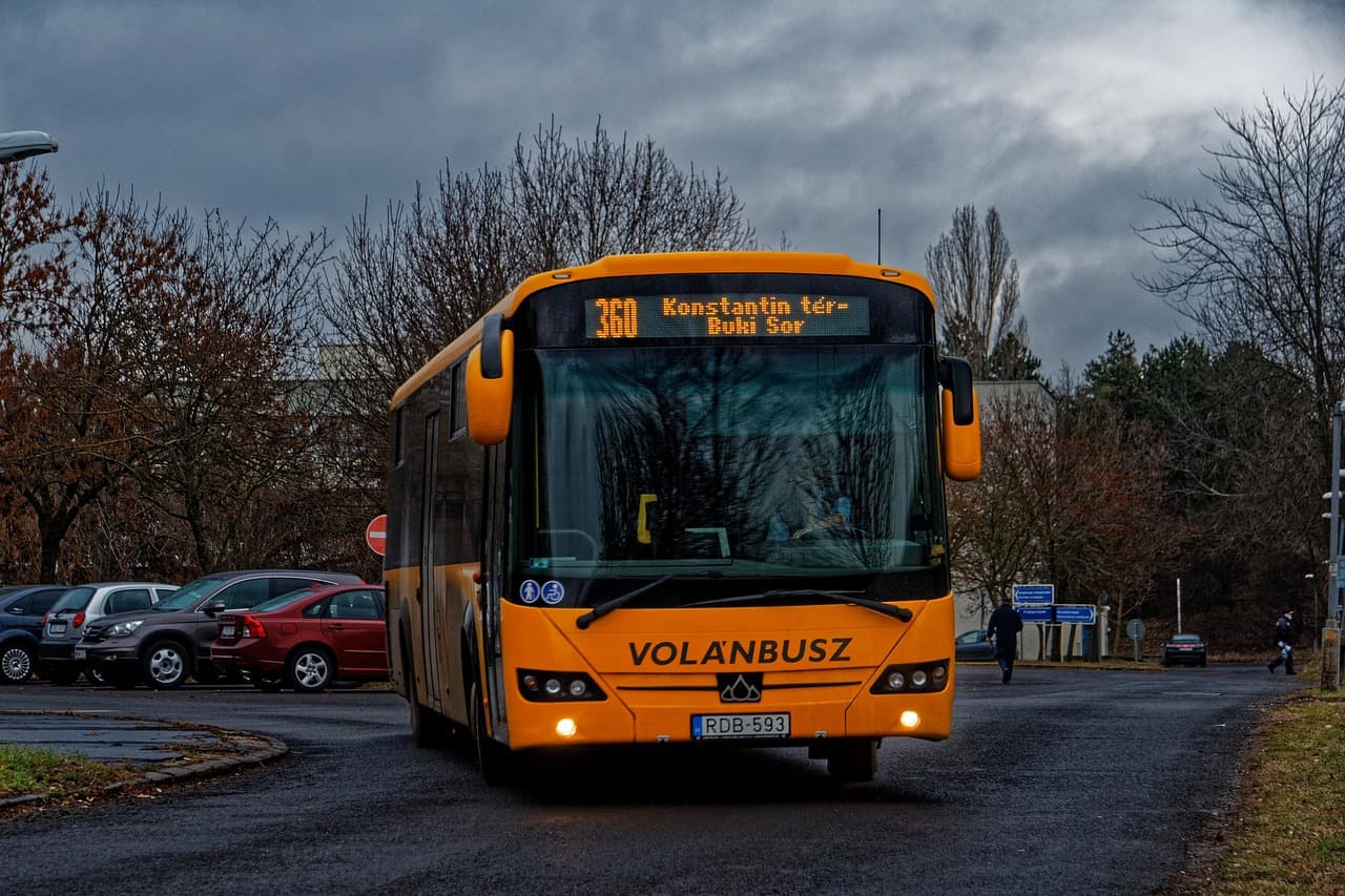 transport, bus, travel, shuttle bus, vehicle, street, bus, shuttle bus, shuttle bus, shuttle bus, shuttle bus, shuttle bus