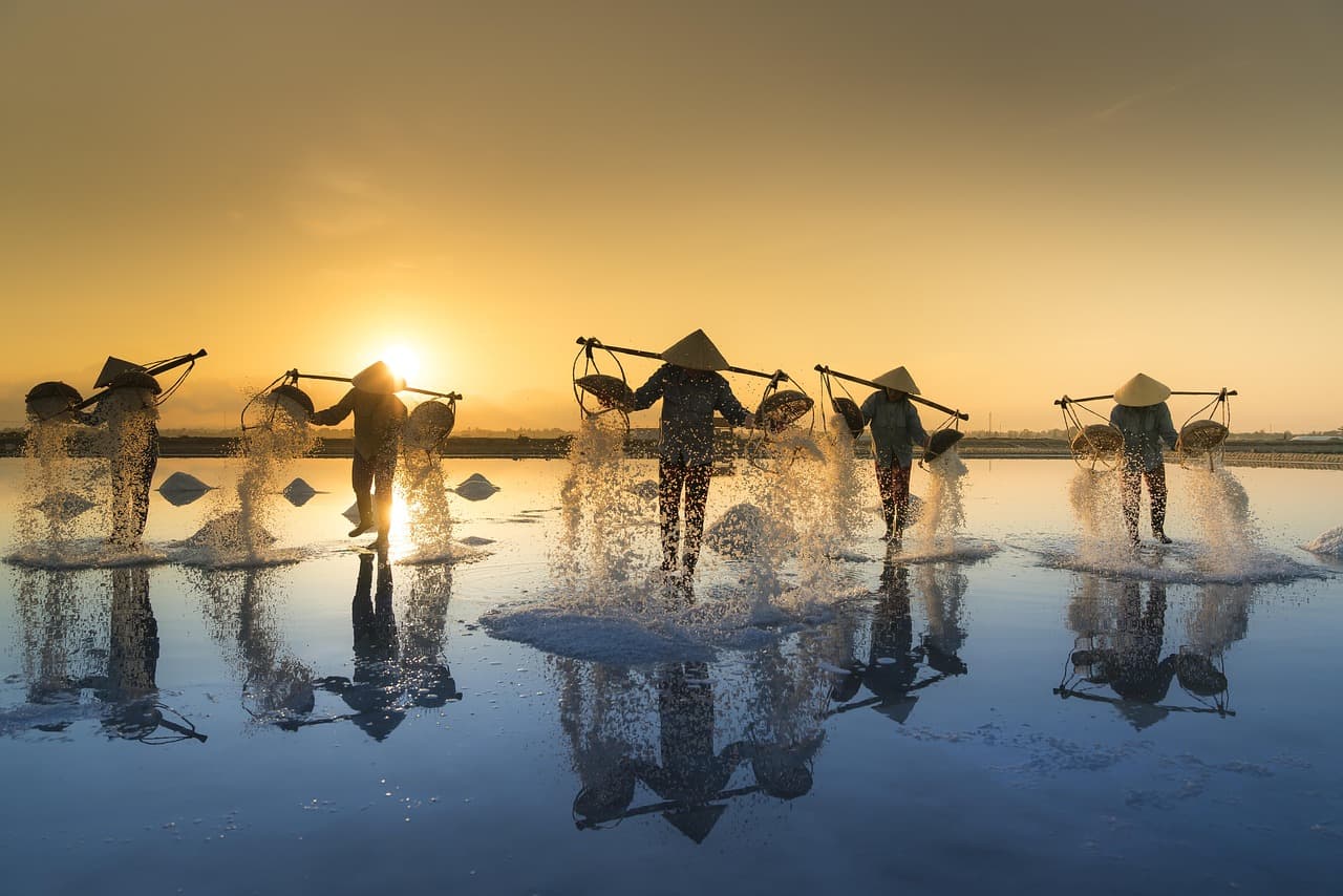 salt harvesting, vietnam, water, salt, work, people, reflection, hon khoi, salt field, salina, tropical, agriculture, asia, harvest, asian, hats, nature, traditional