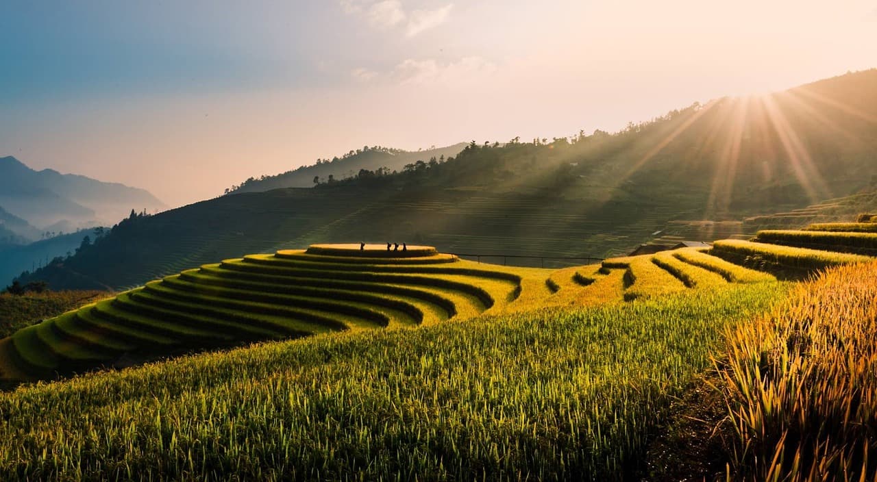vietnam, tu le, terraces, field, rice field, rice, terrace, travel, natural, green, outdoors, terrace rice field, landscape, peaceful, season, sunset, environment, nature, countryside, hills, sunny