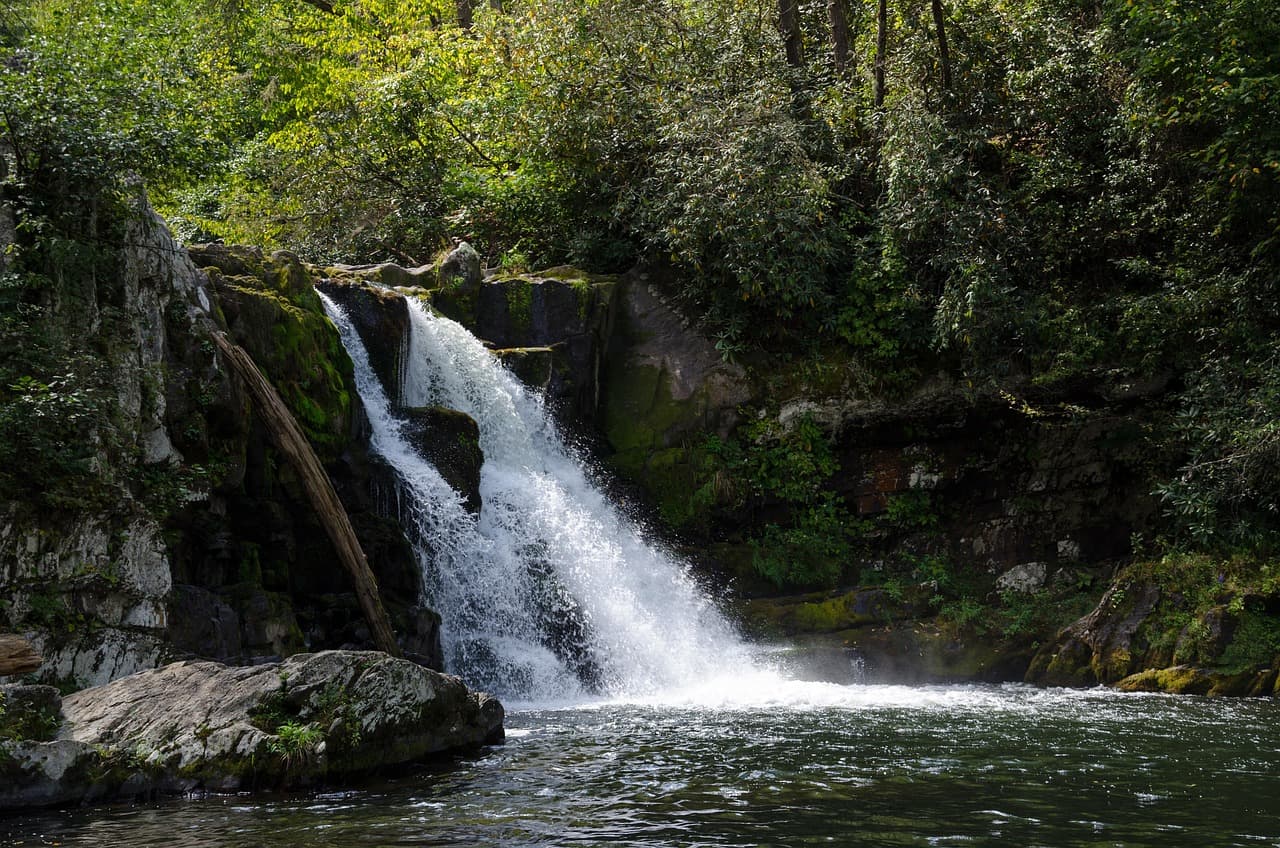 usa, america, nature, national park, great smoky mountains, southern states, tennessee, forest, trees, waterfall, landscape, abraham falls, cades cove, trail, hike, bach, flow, abrahams creek, tenness